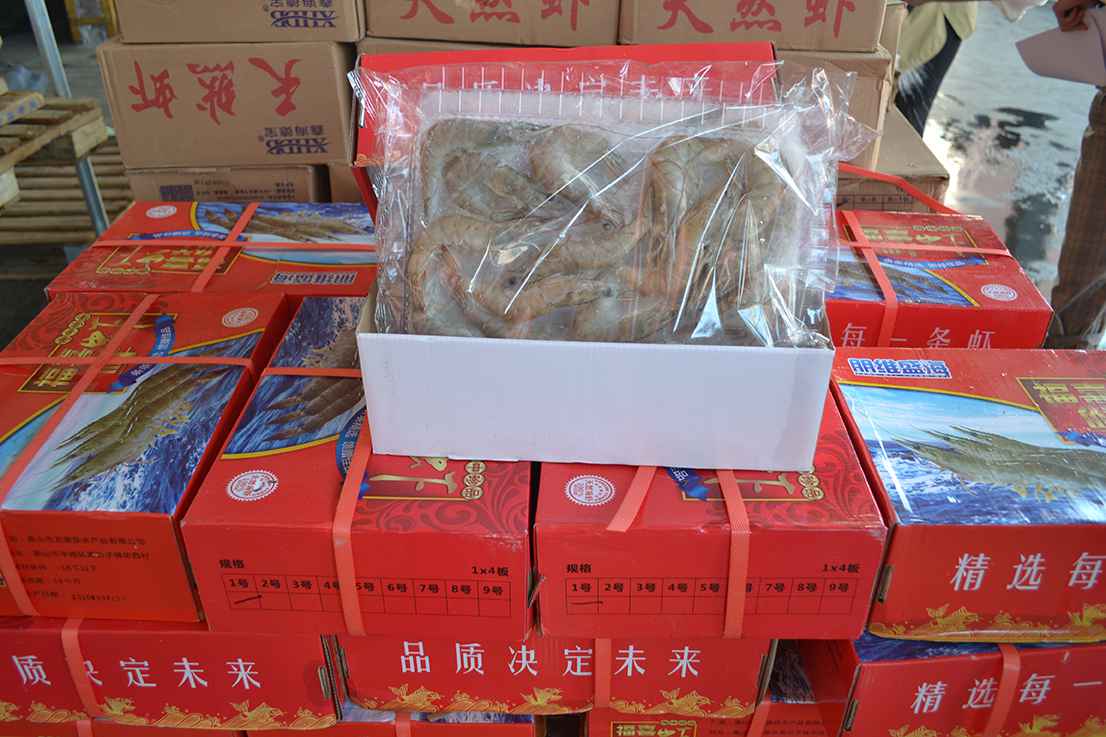 DSC_0822.jpg DSC_0822.jpg